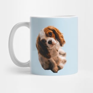 Cocker spaniel Mug